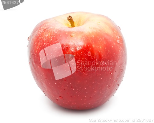 Image of Apple