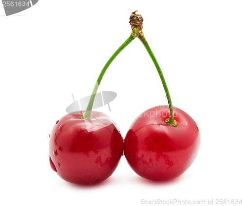 Image of Red cherry