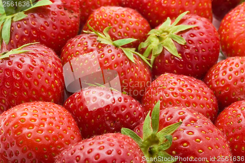 Image of Strawberries