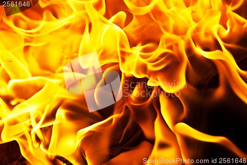 Image of Fire