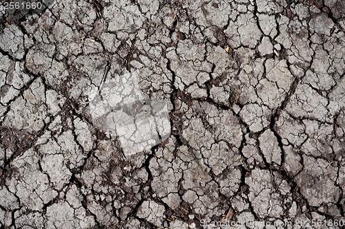 Image of Dry land