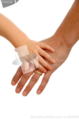 Image of Young and old hands