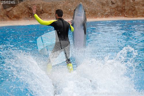 Image of Man and dolphin