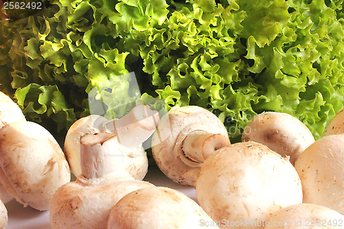 Image of agaric and lettuce ready for the cooking