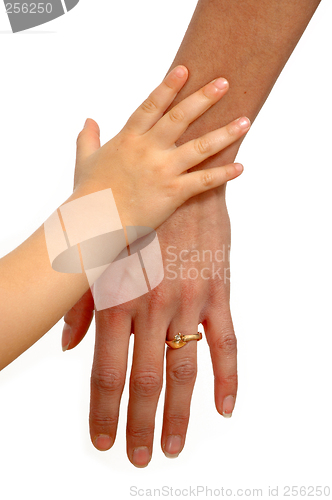 Image of Child and adult hands