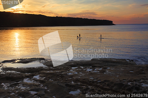 Image of Paddle boarding on Botany Bay at sunrise