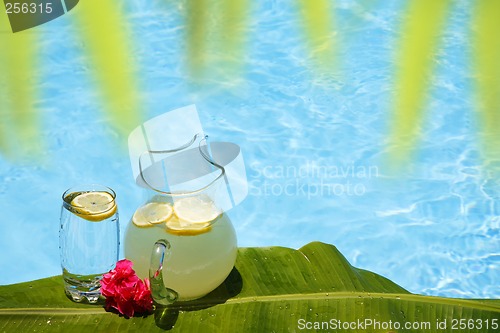Image of Summer Lemonade