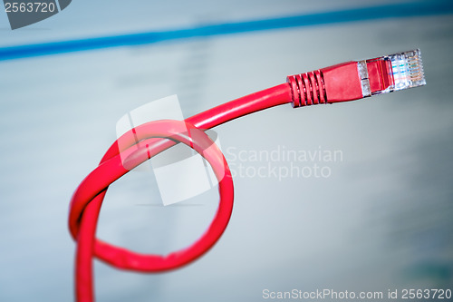 Image of red networking cable with a knot