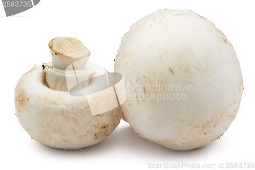 Image of Champignon mushrooms