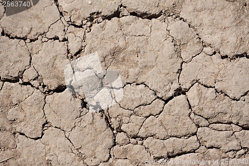 Image of Dry land