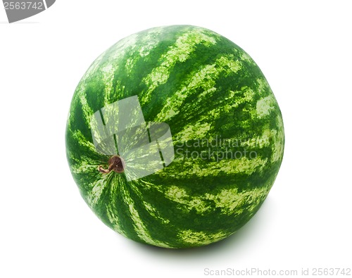 Image of Watermelon