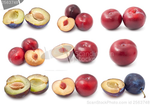 Image of Plum