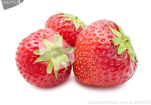 Image of Strawberry