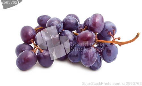 Image of Grapes
