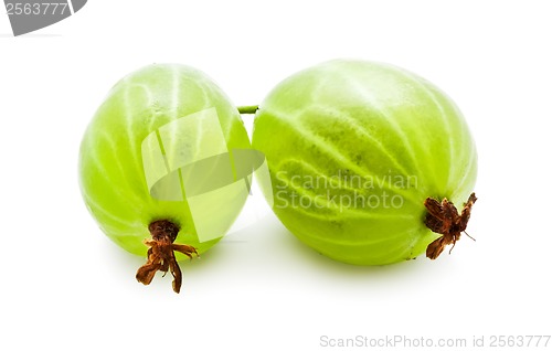 Image of Gooseberries