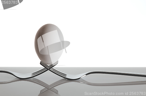 Image of Hen's Egg