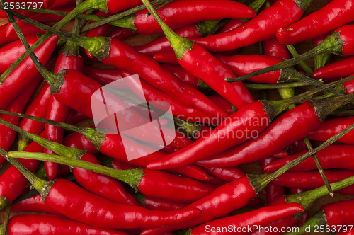 Image of Red chili peppers