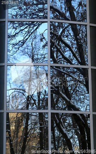 Image of Reflection in the window