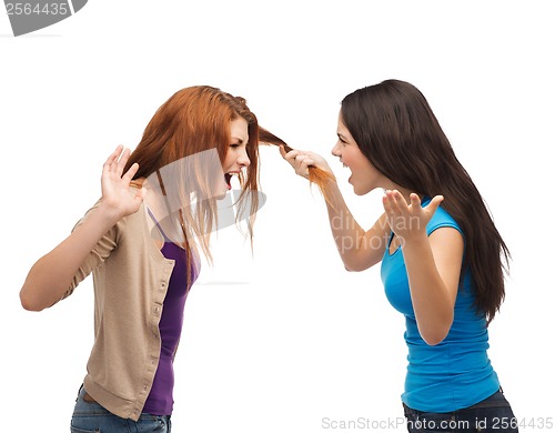 Image of two teenagers having a fight and getting physical