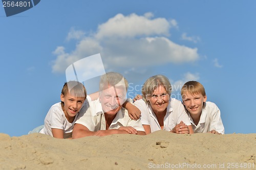 Image of Big happy family