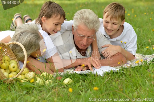 Image of Happy family having a picnic