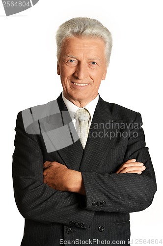 Image of Portrait of an elderly businessman