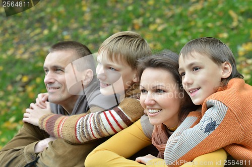 Image of Family of four in park