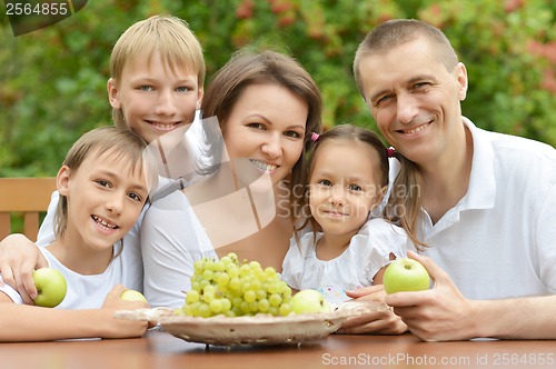 Image of Family eating fruits outdoors