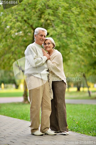 Image of Elderly couple in park