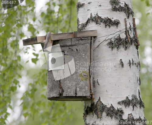 Image of Bird house