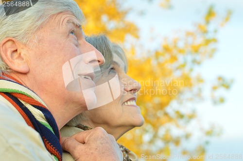 Image of Senior couple in park