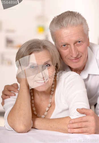 Image of Portrait of a happy senior couple.