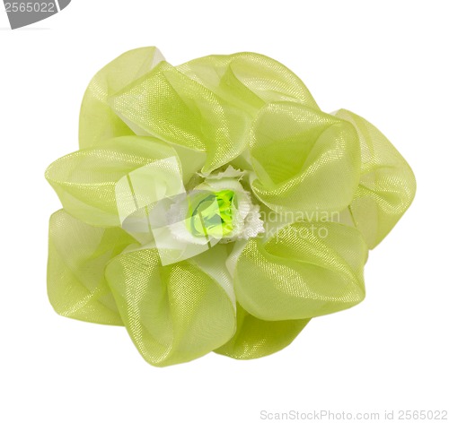 Image of barrette hair green flower isolated  clipping
