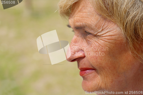 Image of Profile of a senior woman