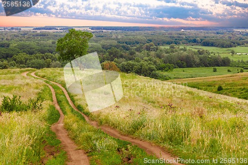 Image of landscape green road grass field summer sky tree blue nature rur