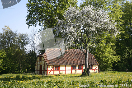 Image of Spring in Denmark