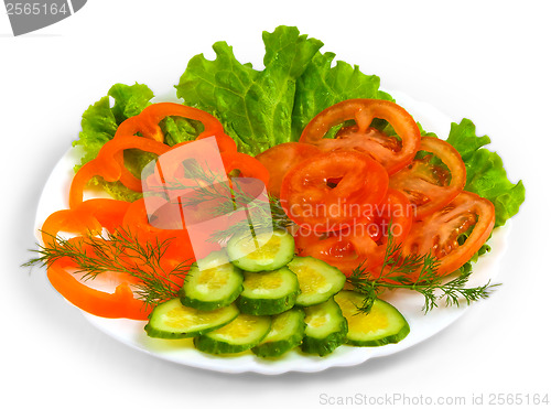 Image of tomatoes cucumbers sliced?? salad plate isolated on white ba