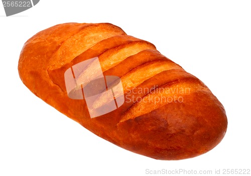 Image of bread baking long loaf isolated on a white background clipping p