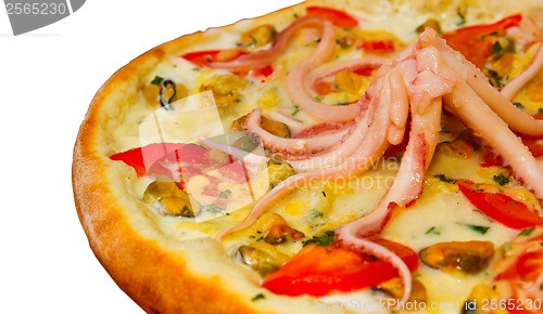 Image of pizza isolated a white octopus cheese food italian tomato meal f