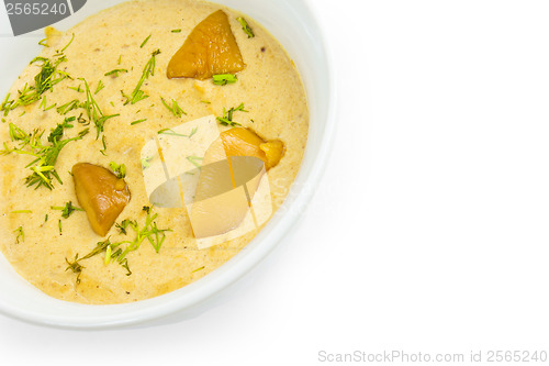 Image of mushrooms soup plate food isolated a on white background
