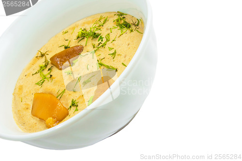 Image of mushrooms soup a plate isolated on white background clipping pat