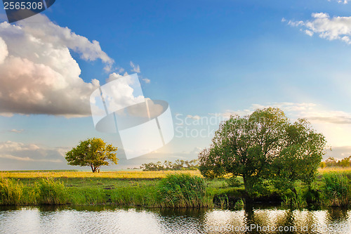 Image of river sky summer tree landscape nature forest