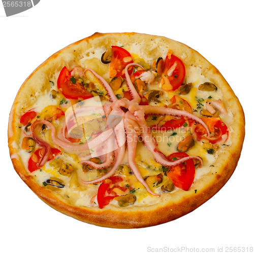Image of pizza octopus isolated a white cheese food italian tomato meal f