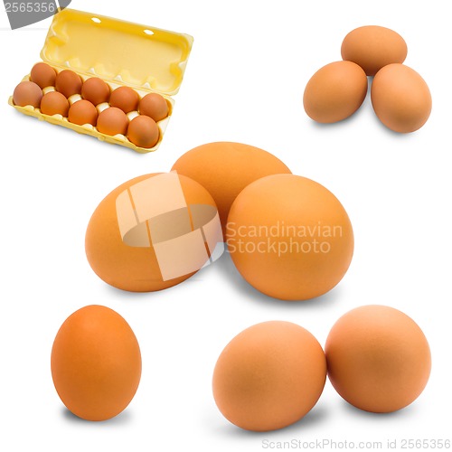 Image of egg isolated set raw breakfast fresh food protein