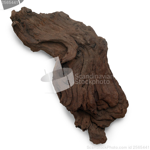 Image of piece brown old tree isolated 