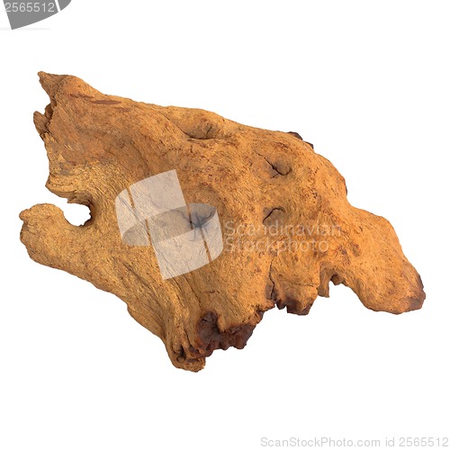 Image of brown piece of an old tree isolated on white background (clippin