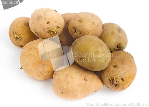 Image of potatoes isolated on a white background