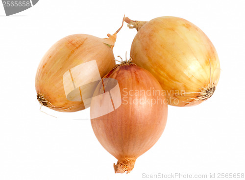 Image of bow isolated on white background