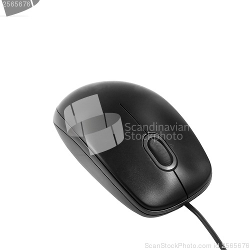 Image of computer mouse on white background