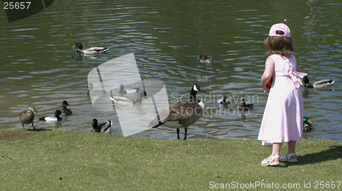 Image of young girl feeds birds